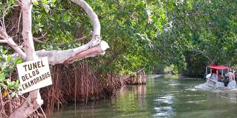 Laguna de La Restinga