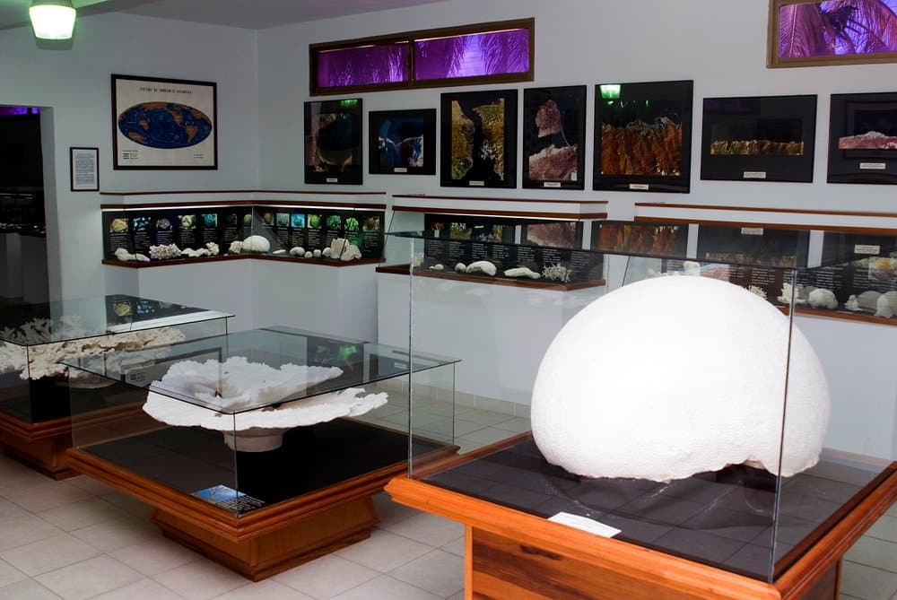 Museo Marino de Margarita