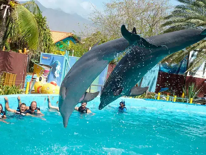 Waterland Mundo Marino
