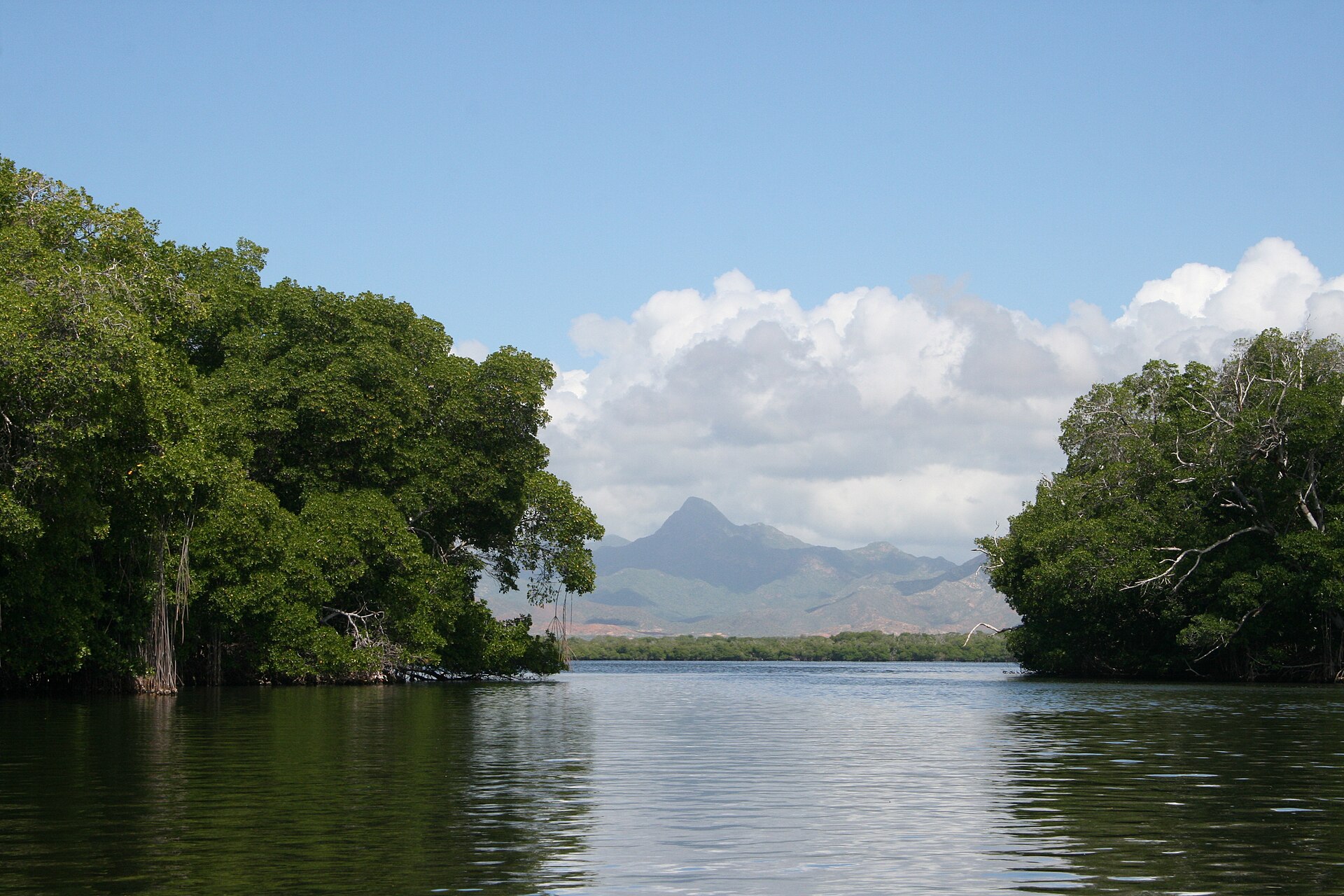 Paisaje natural de La Restinga en Margarita